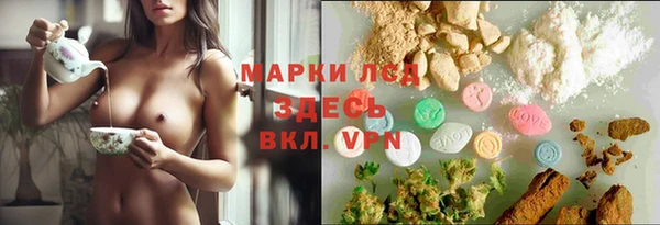 apvp Алексин