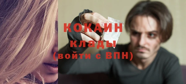 apvp Алексин