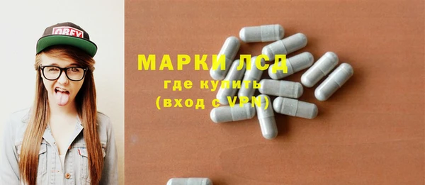 индика Алзамай