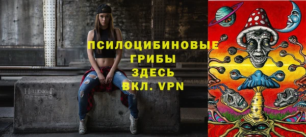 индика Алзамай
