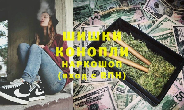 шишки Козельск
