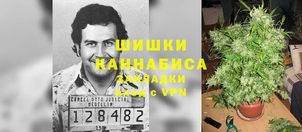 метадон Армянск