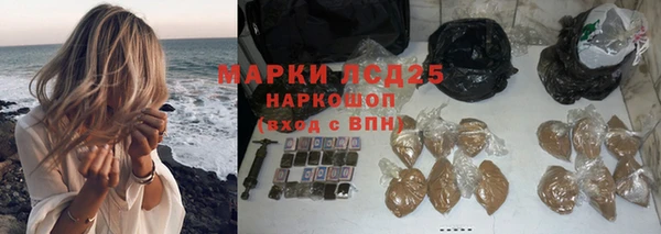 индика Алзамай