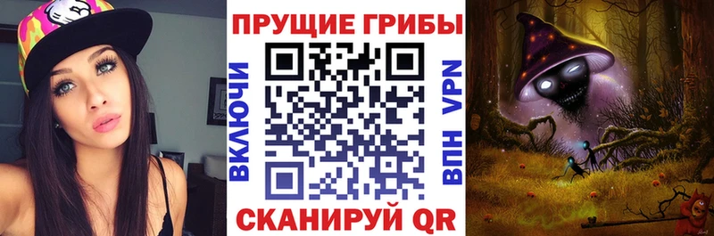 Псилоцибиновые грибы Psilocybe наркота blacksprut зеркало Пошехонье